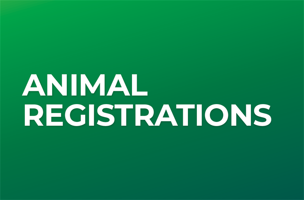 Registering Your Pet Central Goldfields Shire Council