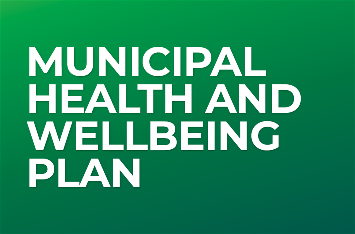 Municipal Health And Wellbeing Plan Central Goldfields Shire Council