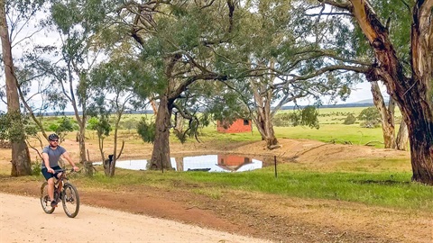 man cycling along a country road in Central Goldfields