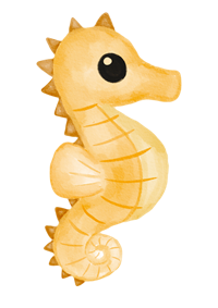 Under-The-Sea-Craft-Seahorse.png