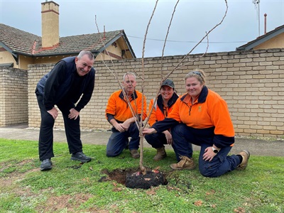 tree planting 2.jpg